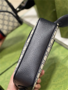 Gu.cci Ophidia GG Small Shoulder Bag GG Supreme Canvas 722117