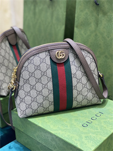 Gu.cci Ophidia GG Small Shoulder Bag Supreme Canvas 499621