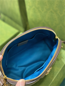 Gu.cci Ophidia GG Small Shoulder Bag Supreme Canvas 499621