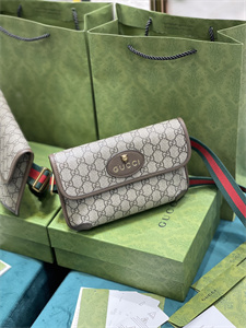 Gu.cci Neo Vintage Supreme Belt Bag 493930