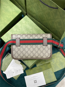 Gu.cci Neo Vintage Supreme Belt Bag 493930