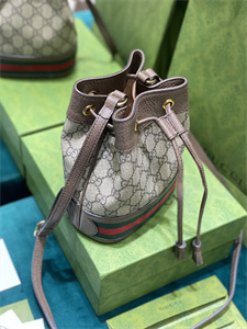Gu.cci Ophidia GG Mini Bucket Bag 550620