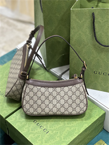 Gu.cci Ophidia GG Small Handbag Supreme Canvas 735145