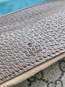 Gu.cci Ophidia GG Mini Bag GG Supreme Canvas 658551