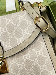 Gu.cci Ophidia GG Small Top Handle Bag GG Supreme Canvas 651055