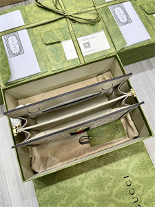 Gu.cci Ophidia GG Small Shoulder Bag Supreme Canvas 503877