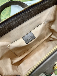 Gu.cci Ophidia  GG Small Tote Bag GG Supreme Canvas 547551