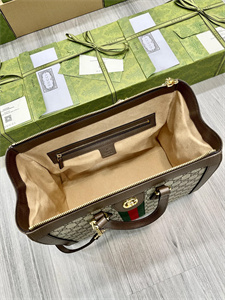 Gu.cci Ophidia  GG Medium Tote Bag 524537