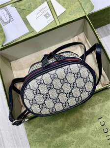 Gu.cci Ophidia GG Mini Bucket Bag 550620