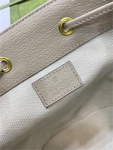 Gu.cci Ophidia GG Mini Bucket Bag 550620