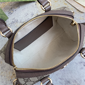 Gu.cci Ophidia GG Mini Top Handle Bag 772053