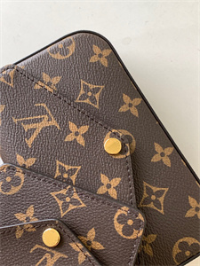 L.V  Felicie Pochette Strap & Go Monogran Canvas M80091