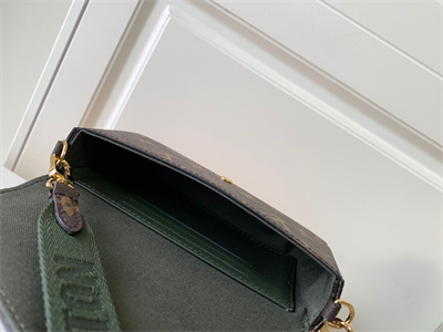 L.V  Felicie Pochette Strap & Go Monogran Canvas M80091