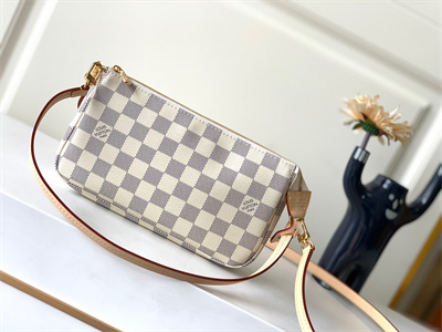 L.V Pochette Accessories Damier Azur N41207