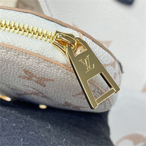 L.V ONTHEGO PM Giant Monogram Canvas M24533