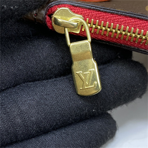 L.V Neverful PM Monogram Canvas Inside Red M41001