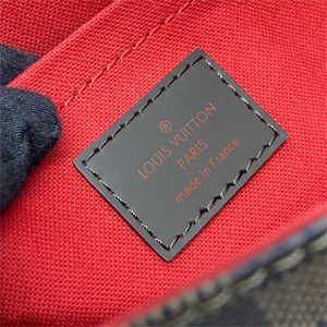 L.V Favorite MM Bag Damier Ebene N41129