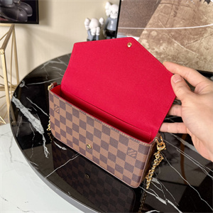 L.V  Felicie Pochette Damier Ebene Chain N63032