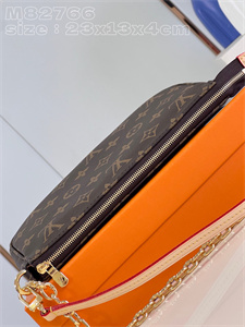 L.V  Pochette Accessories Monogram Canvas M82766