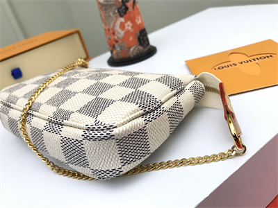 L.V Mini Pochette Accessories Damier Azur N58010