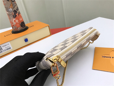 L.V Mini Pochette Accessories Damier Azur N58010