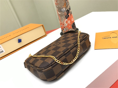 L.V Mini Pochette Accessories Damier Ebene N58010
