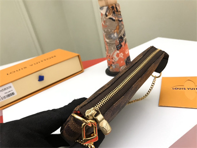 L.V Mini Pochette Accessories Damier Ebene N58010