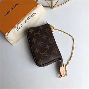 L.V Mini Pochette Accessories Monogram Canvas M58009