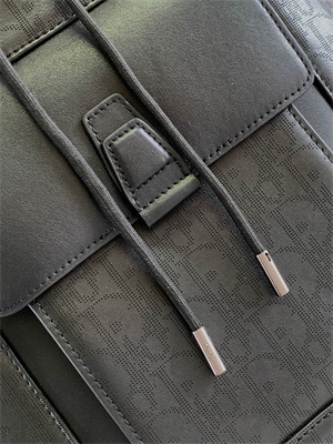 Dior Backpack Black Oblique Calfskin