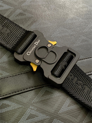 Di.or Lingot Briefcase Black CD diamond Canvas And Smooth Calfskin