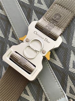 Di.or Lingot Briefcase Grey CD diamond Canvas And Smooth Calfskin