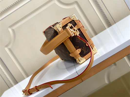 LV  Side Trunk MM  Monogram Canvas M46358