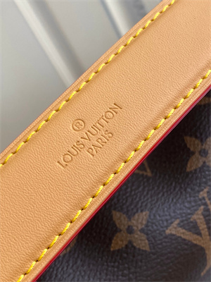 LV  Side Trunk MM  Monogram Canvas M46358