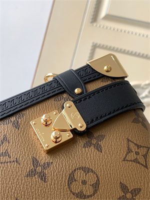 LV  Side Trunk MM  Reverse Monogram Canvas M46358