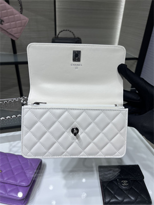 Cha.nel Wallet On Chain With Top Handle Shiny Calfskin Silver Tone Metal White AP3566