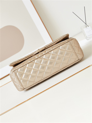 Cha.nel CF Airport Bag Calfskin Gold Tone Metal Gold AS4661