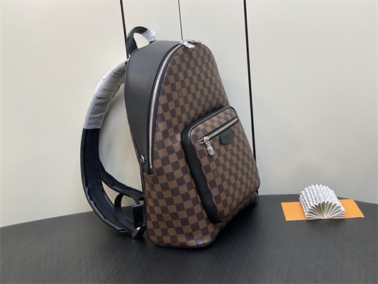 L.V Josh Backpack Damier Ebene N40365