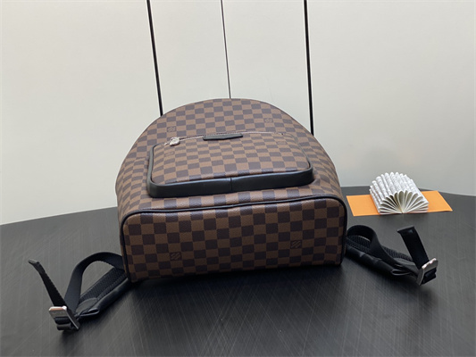L.V Josh Backpack Damier Ebene N40365