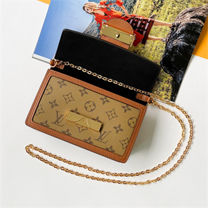 L.V Dauphine Chain Wallet Monogram Canvas M68746