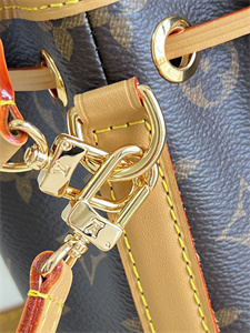 L.V  Nano  Noé Bag Monogram Canvas M81266