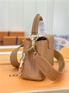 L.V Capucines Mini Bag Taurillon Leather Brown M21798