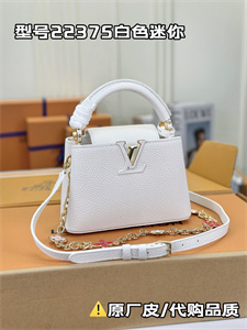 L.V Capucines Mini Bag Taurillon Leather White M22375
