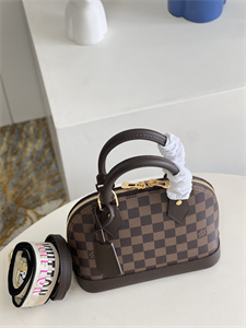 L.V Alma BB Bag Damier Ebene Canvas N41221