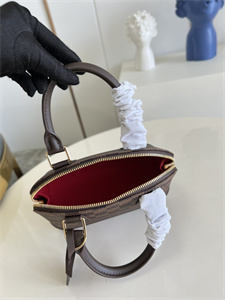 L.V Alma BB Bag Damier Ebene Canvas N41221