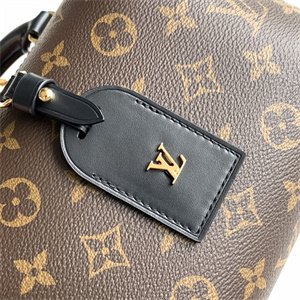 L.V Petite Malle Souple Bag Monogram Canvas Black M45571
