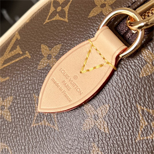 L.V Speedy Bandoulière 20 Monogram Canvas M45957