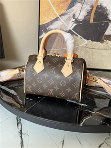 L.V Speedy Bandoulière 20 Monogram Canvas M46222