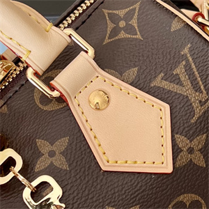 L.V Speedy Bandoulière 20 Monogram Canvas M46222