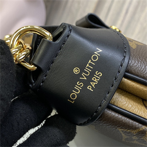 L.V Twinny Handbag Monogram Canvas M46659