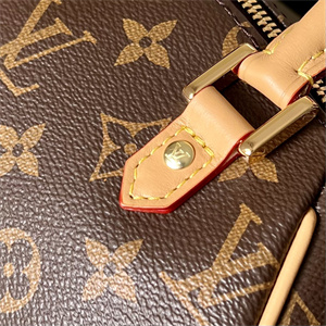 L.V Ribera Mini Boston Handbag Monogram Canvas M50202